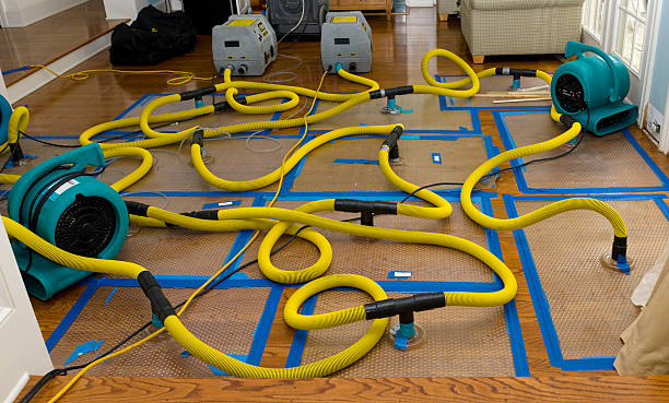 Professional Crawl Space Water Removal technician working in Bailey, NC